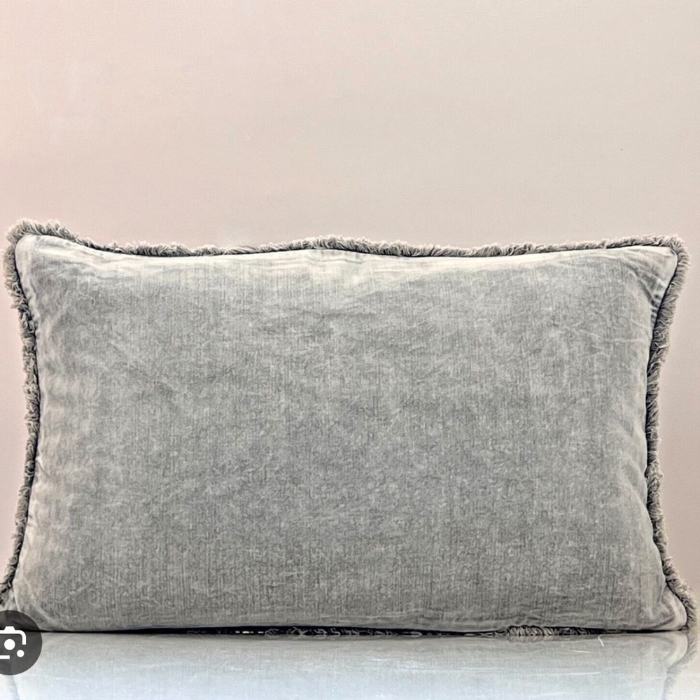 Pottery Barn King Pillow Shams 2